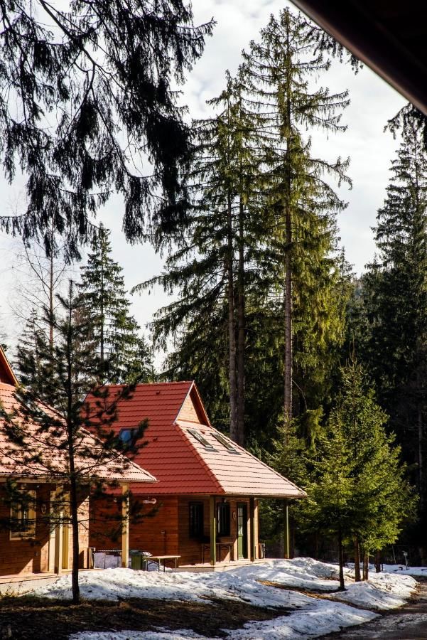 Кемпинги Tusnad Bungalow Бэиле-Тушнад-6